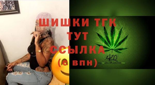 меф Арсеньев