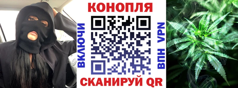 Канабис SATIVA & INDICA  Родники 